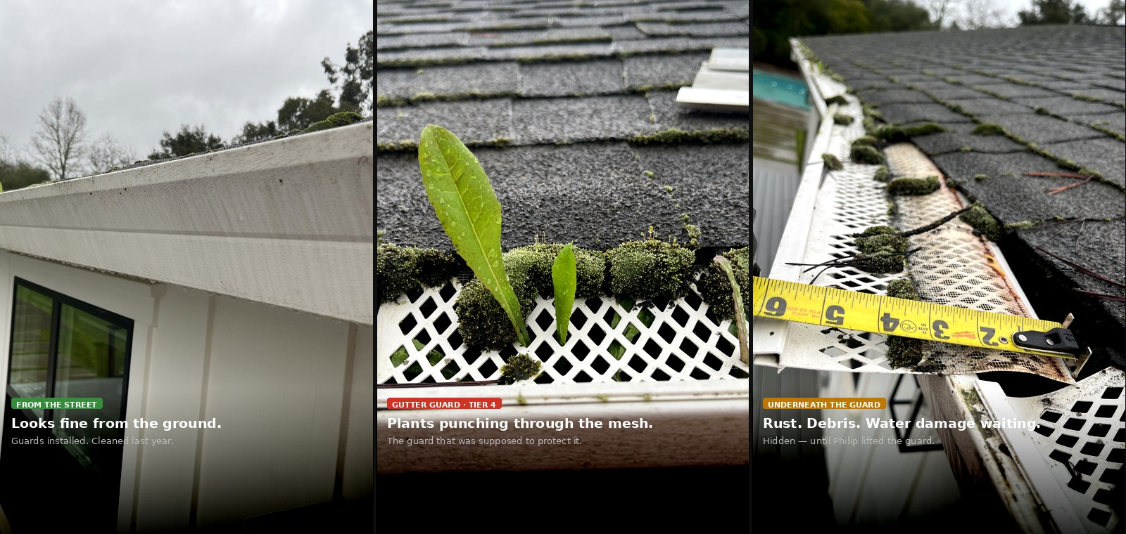 Plants growing through gutter guard mesh — field photo